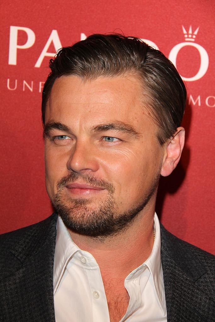 Leonardo DiCaprio Vermögen