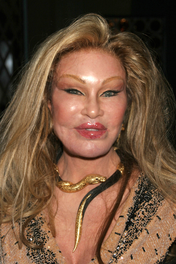 Jocelyn Wildenstein net worth