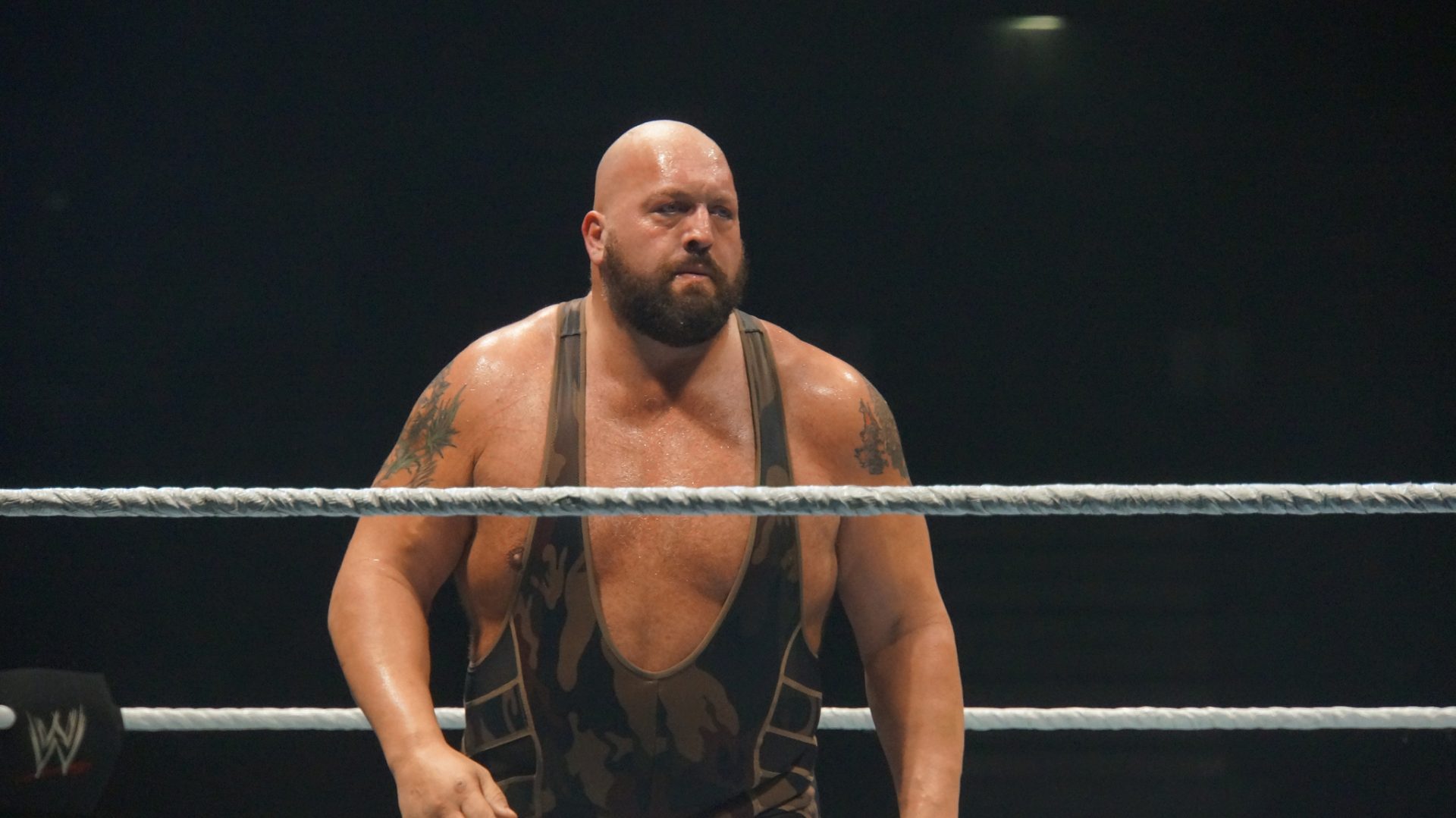 Die 10 reichsten WWE Wrestling Stars im Jahr 2023