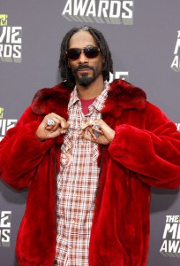 Snoop Dogg income