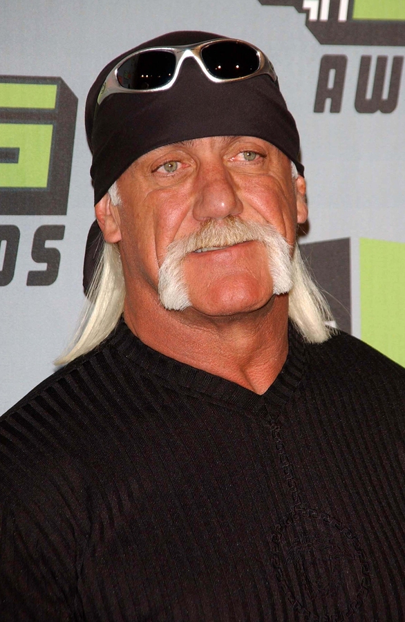 Hulk Hogan net worth