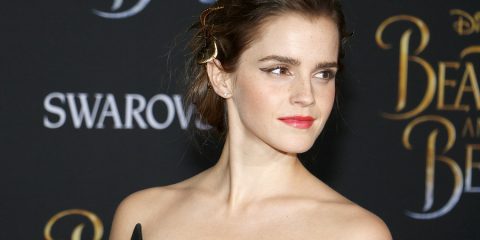 Das Vermögen von Emma Watson