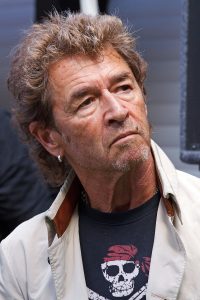 Income from Peter Maffay