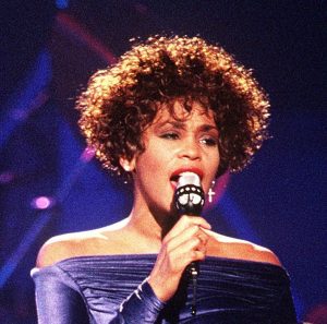 Whitney Houston fees