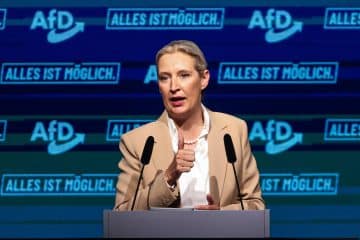 Alice Weidel Vermögen
